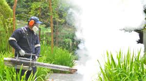 Best Fumigation Services  in Montgomery, WV